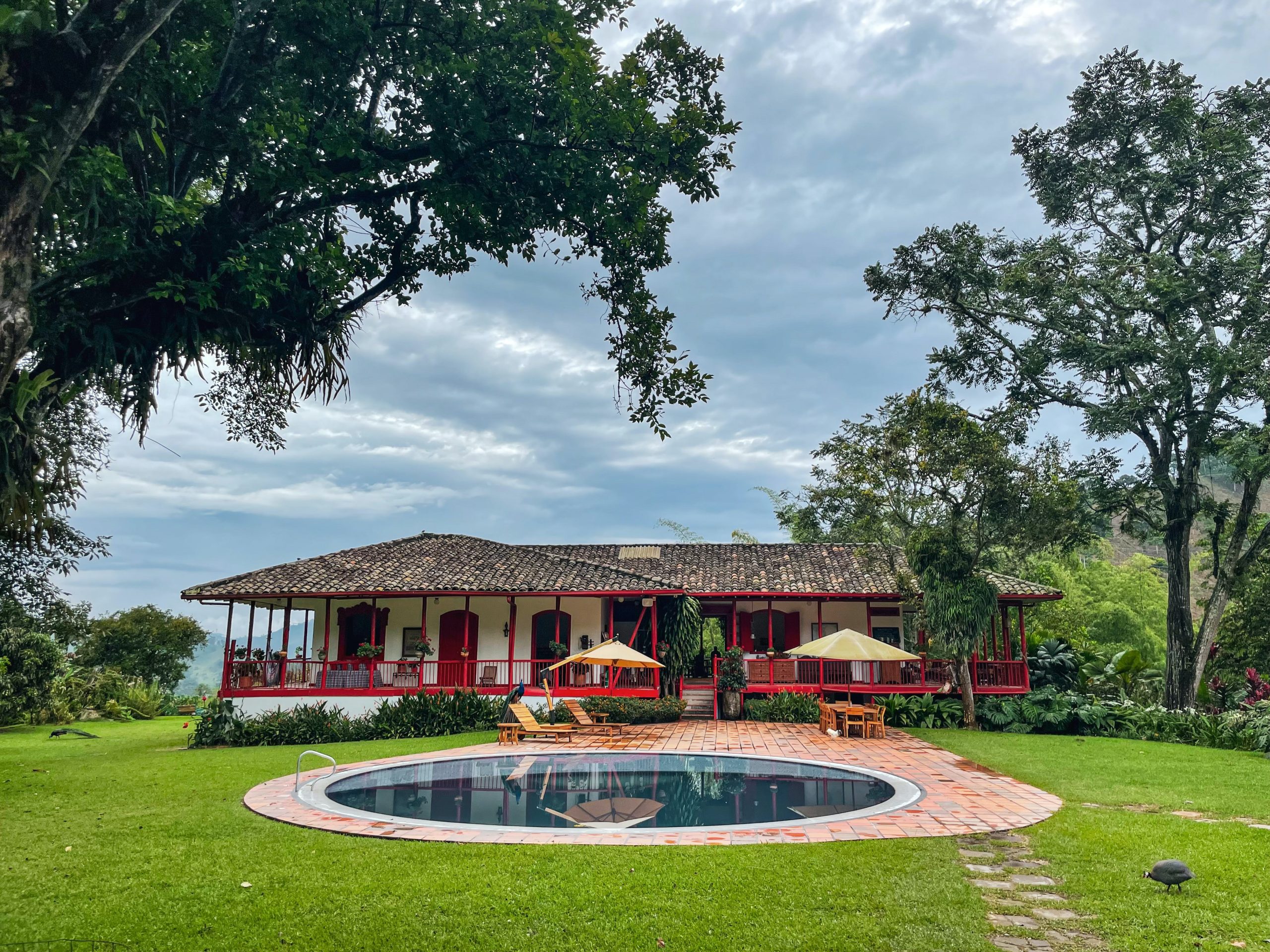 daniel-pelaez-duque-3yGaXBhNUVE-unsplash